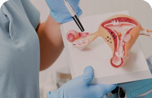 Reproductive Surgery